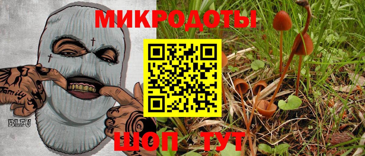 цена наркотик  Псилоцибиновые грибы прущие грибы  Армавир  Вход с VPN  Галлюциногенные грибы мухоморы 
